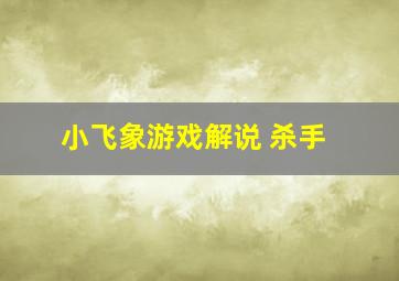 小飞象游戏解说 杀手